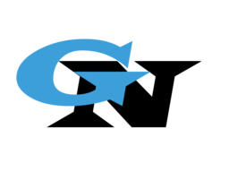 Logo Geo Necula